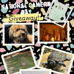 a collage of photos