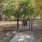 Dog Park